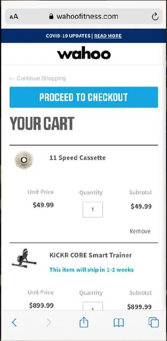 Simplified mobile checkout